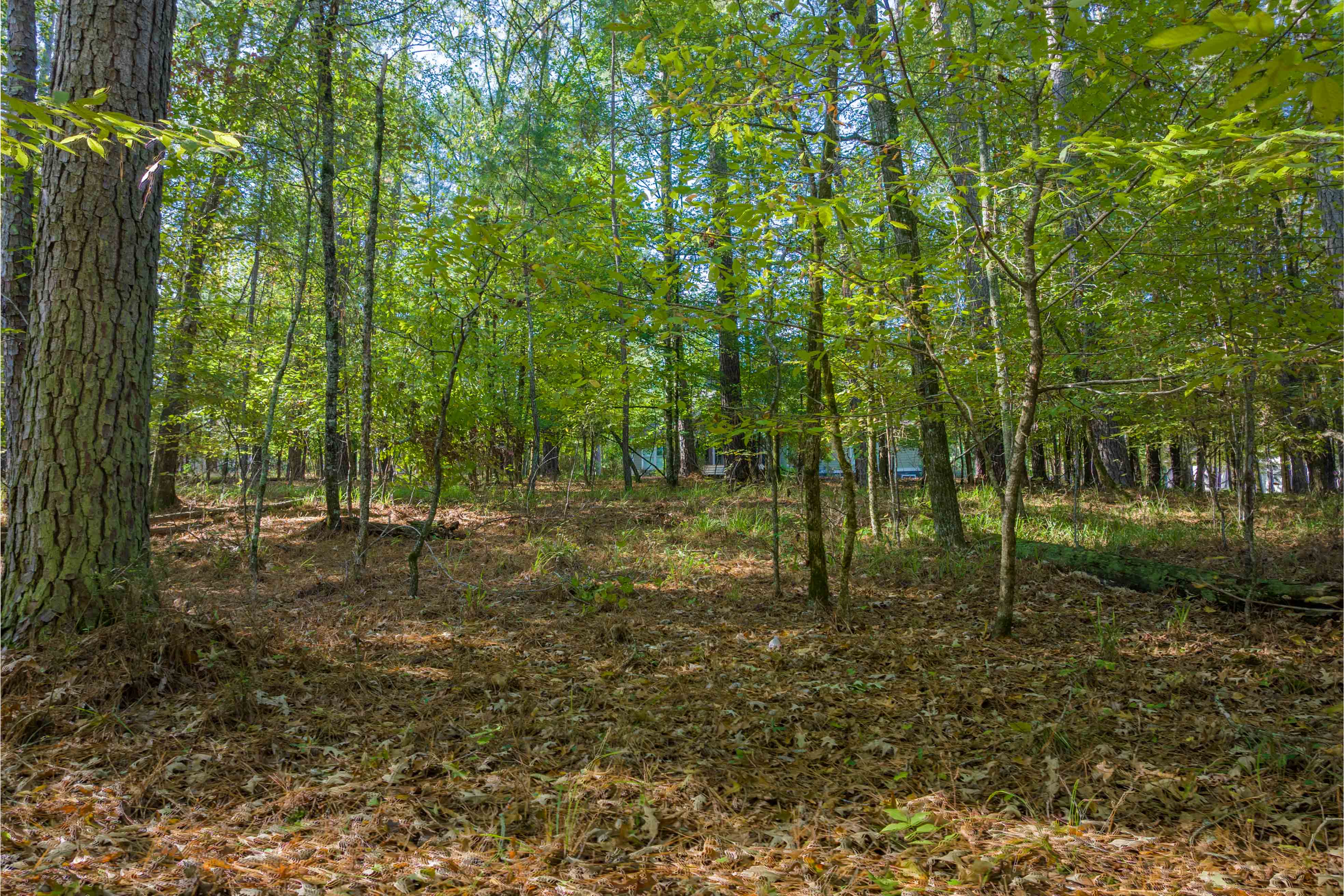1030 Snug Harbor Court image 6